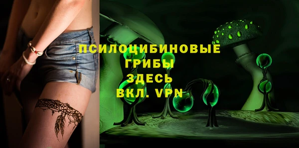 крисы Карталы