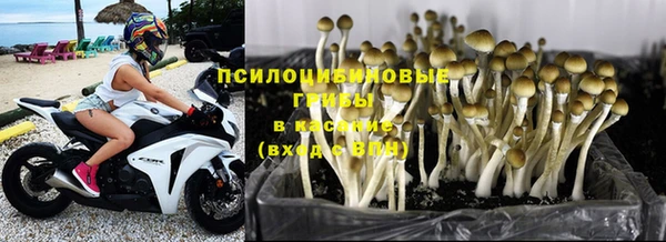 гашиш Карпинск