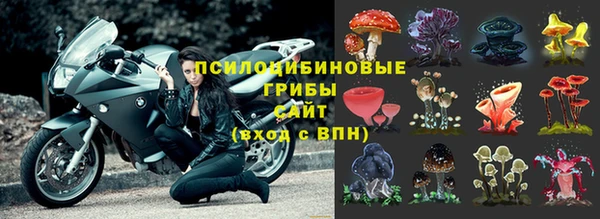 крисы Карталы